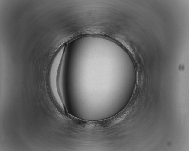 X0000097760109200803281643