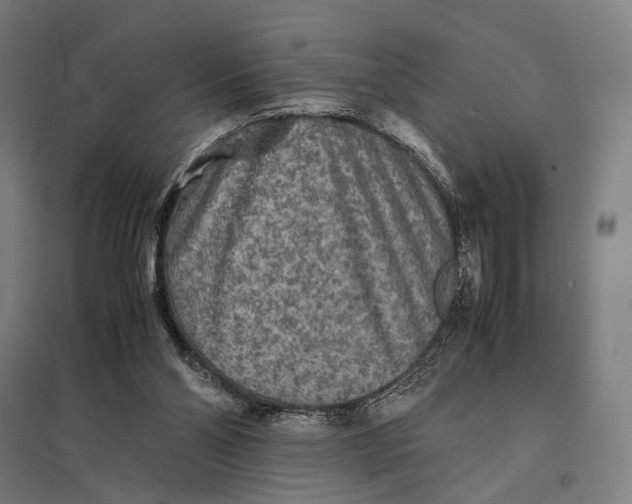 X0000097760110200803281643