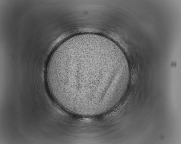 X0000097760111200803281643