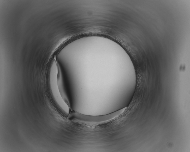 X0000097760112200803281643