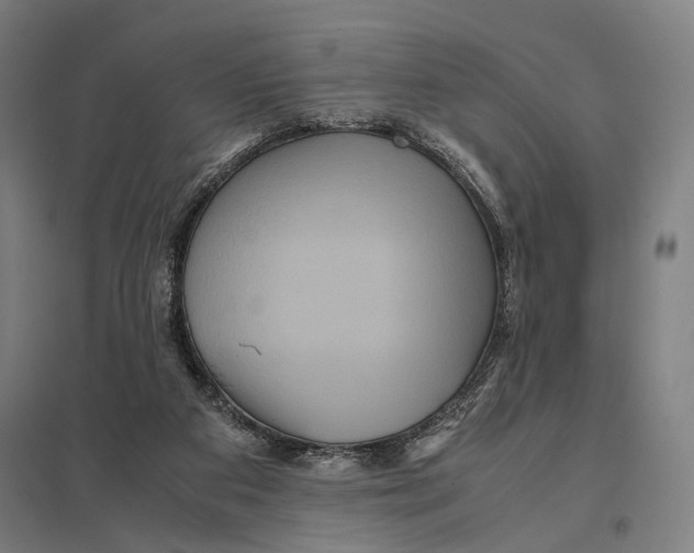 X0000097760113200803281643