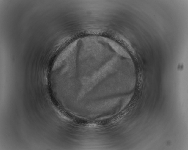 X0000097760114200803281643