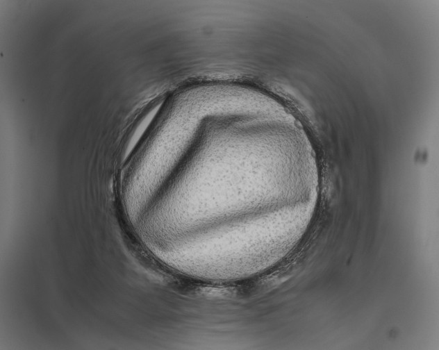 X0000097760115200803281643