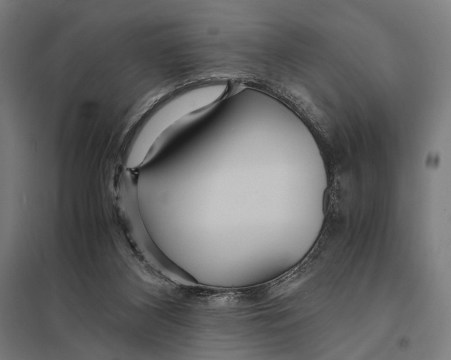 X0000097760116200803281643