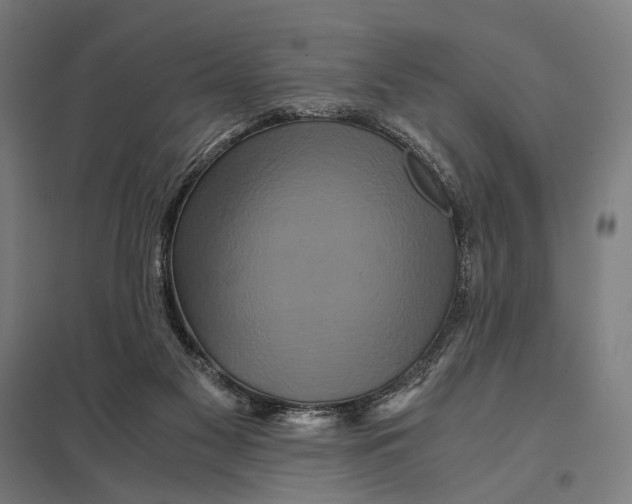 X0000097760117200803281643