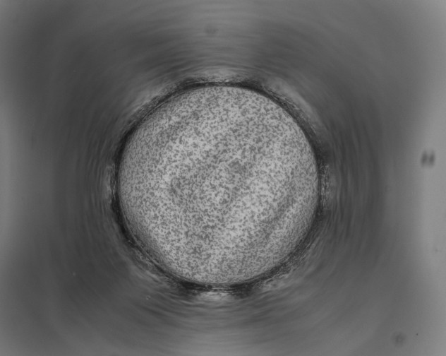 X0000097760119200803281643