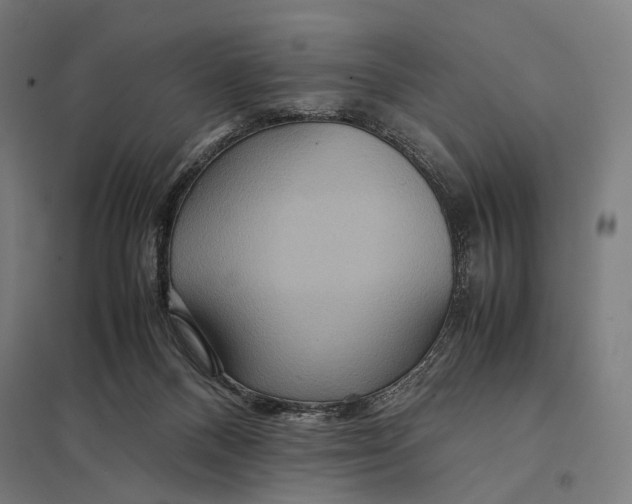 X0000097760120200803281643