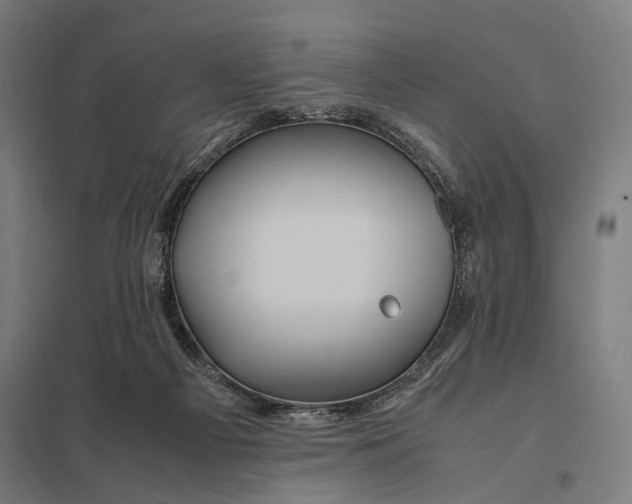 X0000097760121200803281643