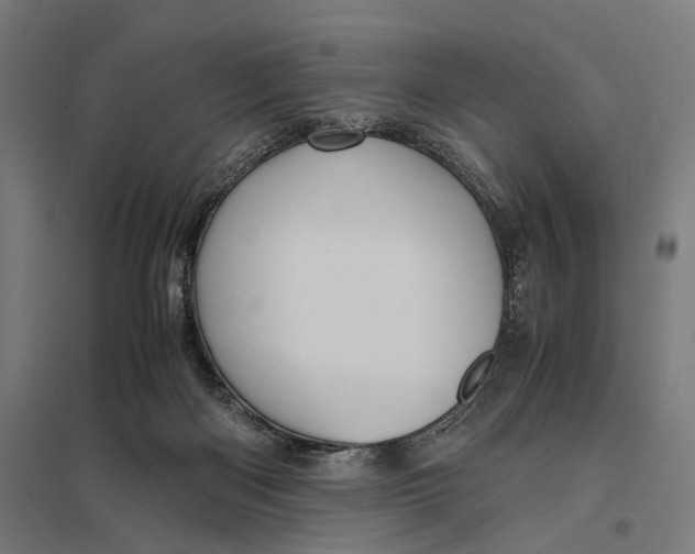 X0000097760122200803281643