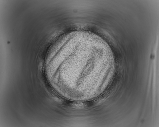 X0000097760123200803281643