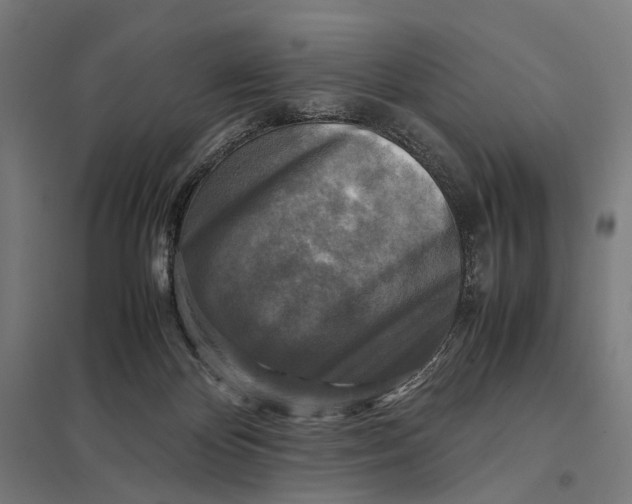 X0000097760124200803281643