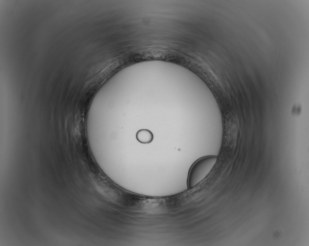 X0000097760126200803281643