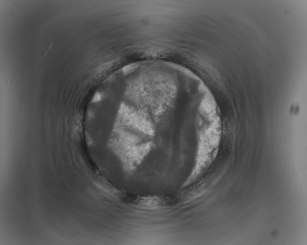 X0000097760127200803281643