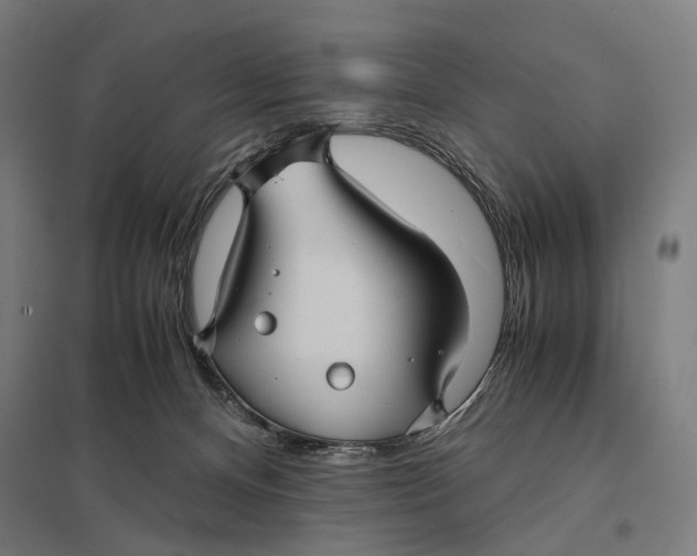 X0000097760128200803281643