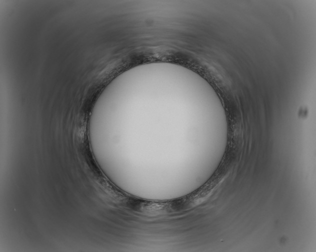 X0000097760129200803281643