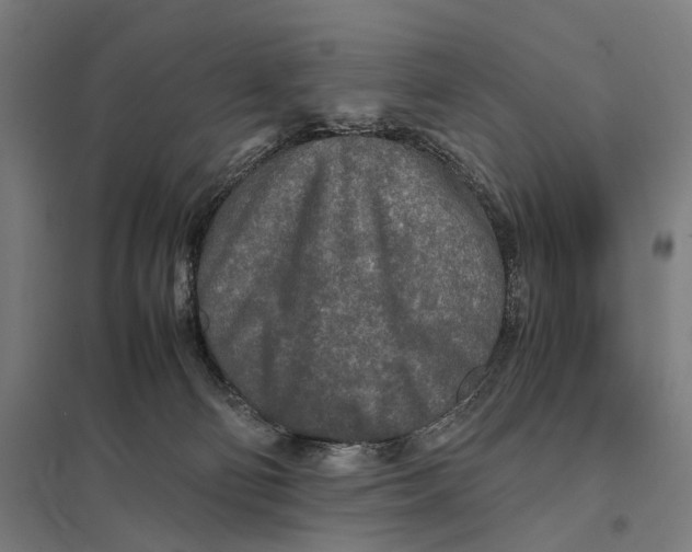 X0000097760130200803281643