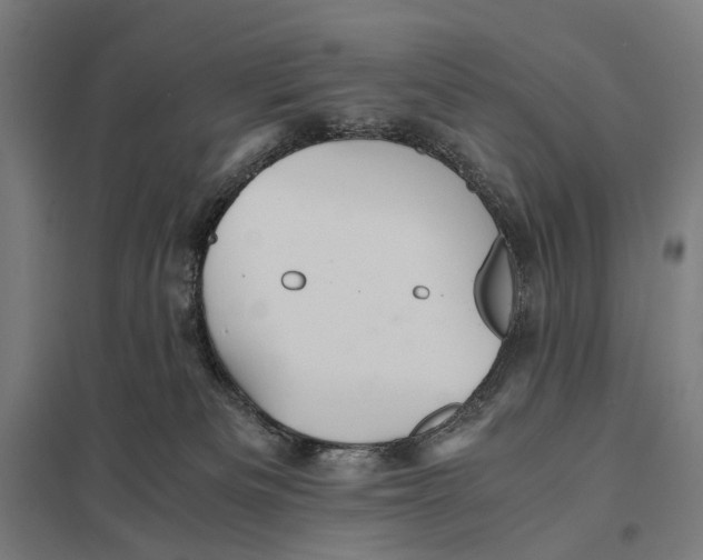 X0000097760133200803281643