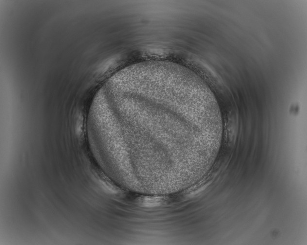 X0000097760134200803281643