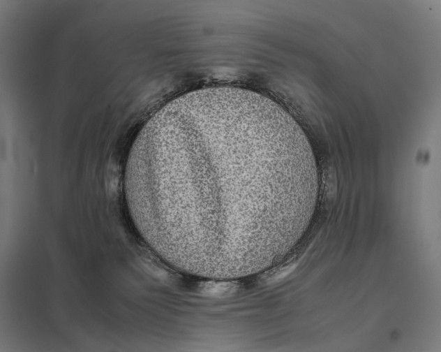 X0000097760135200803281643