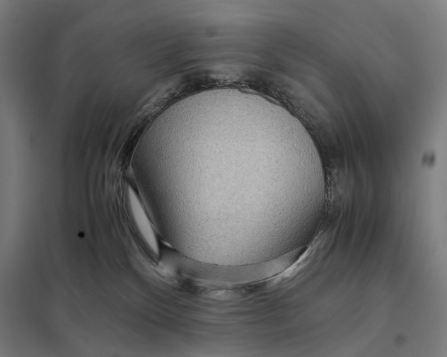 X0000097760136200803281643