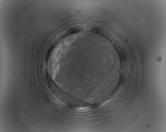 X0000097760137200803281643