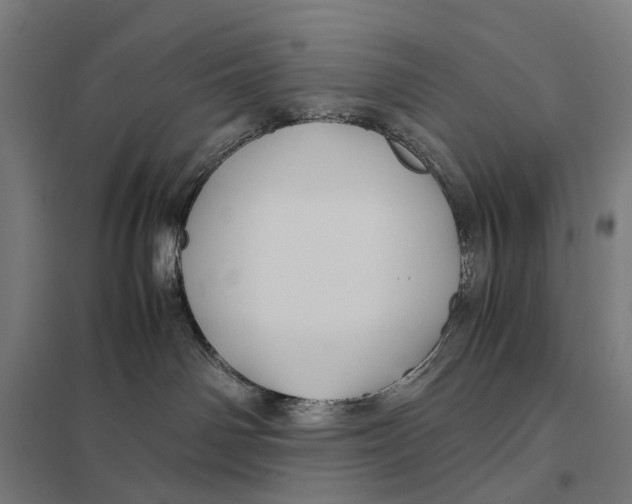 X0000097760142200803281642