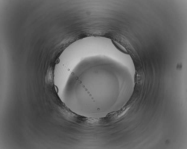 X0000097760143200803281642