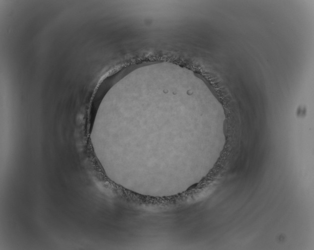 X0000097760144200803281642