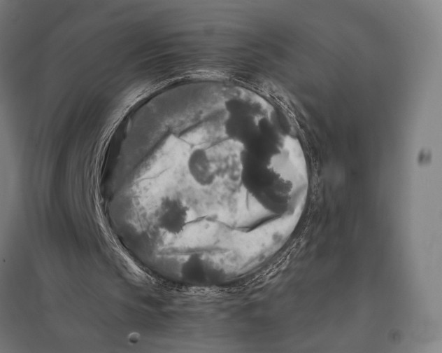 X0000097760145200803281642