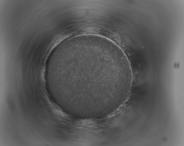 X0000097760146200803281642