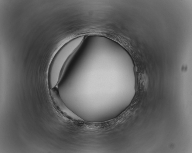 X0000097760148200803281642