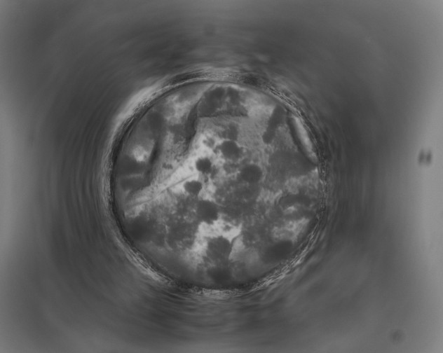 X0000097760149200803281642