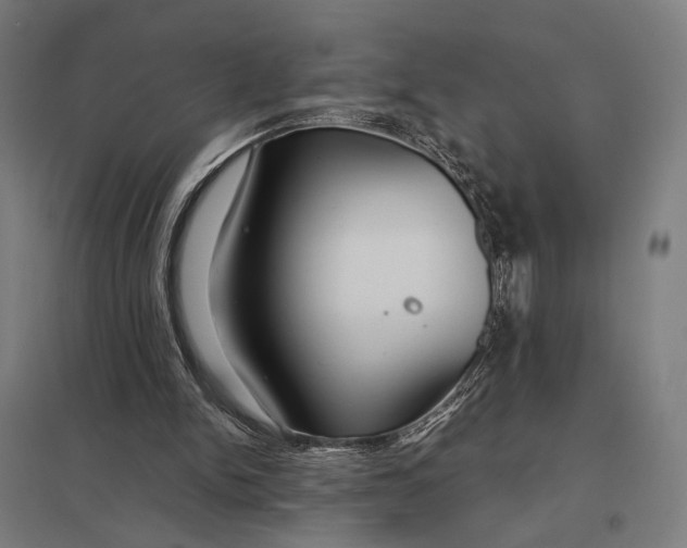 X0000097760150200803281642