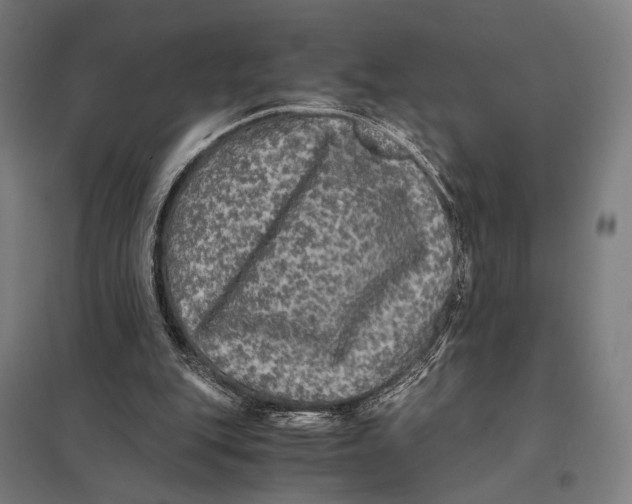 X0000097760151200803281642