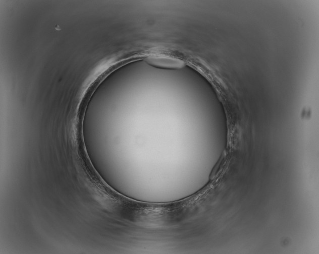 X0000097760152200803281642