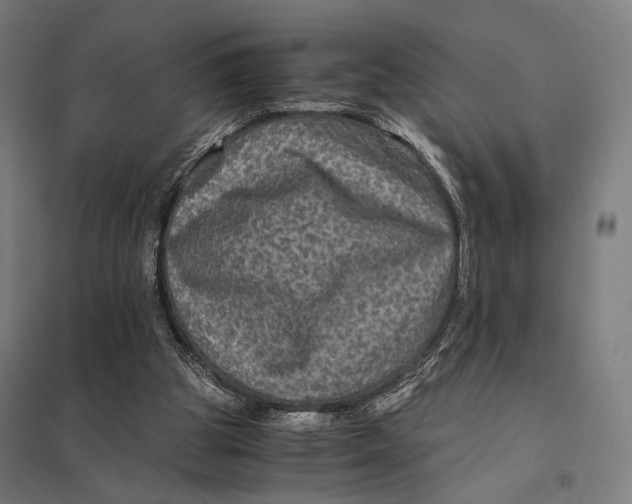 X0000097760153200803281642