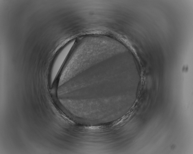 X0000097760154200803281642