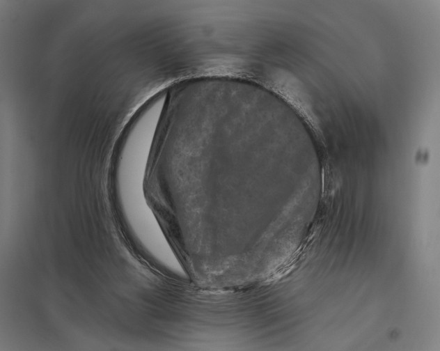 X0000097760156200803281642