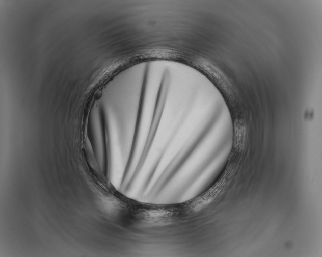 X0000097760158200803281642