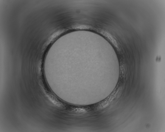 X0000097760159200803281642