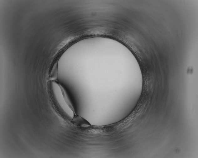 X0000097760160200803281642