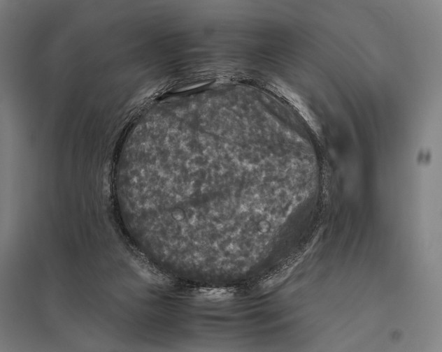 X0000097760161200803281642