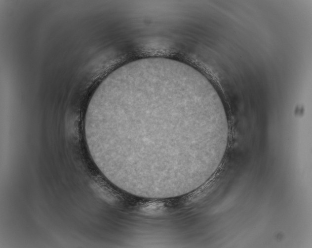 X0000097760162200803281642