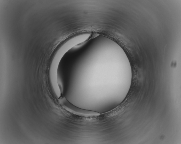 X0000097760164200803281642