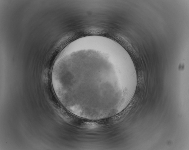 X0000097760167200803281642