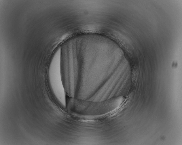 X0000097760168200803281642