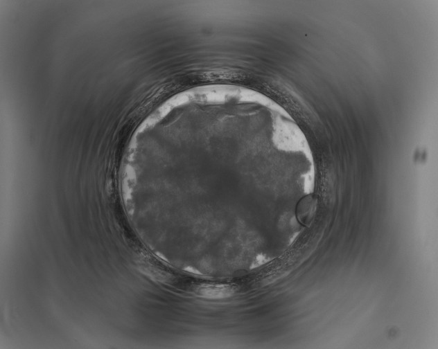 X0000097760169200803281642