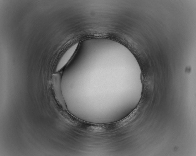 X0000097760170200803281642