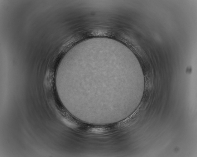 X0000097760171200803281642