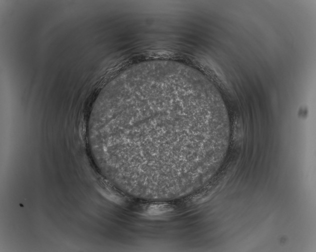 X0000097760173200803281642